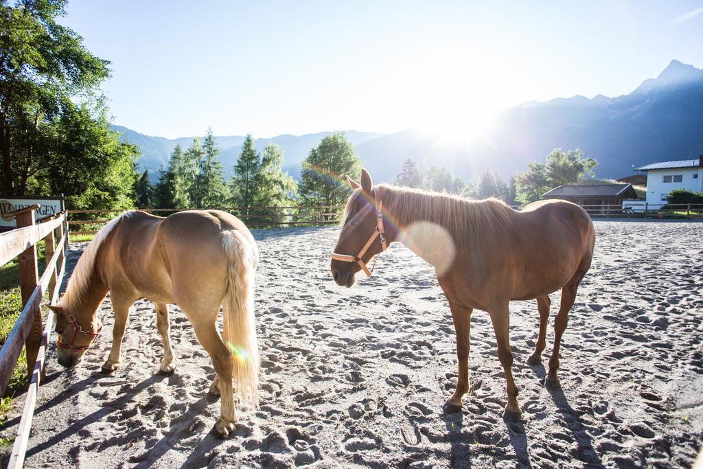 Ferienwohnungen Oetztal Sautens Eksteriør billede